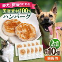 【ふるさと納税】【全3回定期便】ペットフード 鶏むね 100%ハンバーグ 10個セット ペット 愛犬 愛猫 おやつ ご褒美 ごはん 猫 犬 てづくり 国産 ドッ...