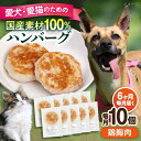 【ふるさと納税】【全6回定期便】ペットフード 鶏むね 100%ハンバーグ 10個セット ペット 愛犬 愛猫 おやつ ご褒美 ごはん 猫 犬 てづくり 国産 ドッ...
