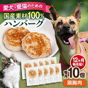 【ふるさと納税】【全12回定期便】ペットフード 鶏むね 100%ハンバーグ 10個セット ペット 愛犬 愛猫 おやつ ご褒美 ごはん 猫 犬 てづくり 国産 ド...