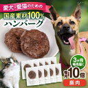 【ふるさと納税】【全3回定期便】ペットフード 鹿肉 100%ハンバーグ 10個セット ペット 愛犬 愛猫 おやつ ご褒美 ごはん 猫 犬 てづくり 国産 ドッグ...