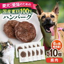 【ふるさと納税】【全6回定期便】ペットフード 鹿肉 100%ハンバーグ 10個セット ペット 愛犬 愛猫 おやつ ご褒美 ごはん 猫 犬 てづくり 国産 ドッグ...