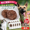 【ふるさと納税】【全12回定期便】ペットフード 鹿肉 100%ハンバーグ 10個セット ペット 愛犬 愛猫 おやつ ご褒美 ごはん 猫 犬 てづくり 国産 ドッ...