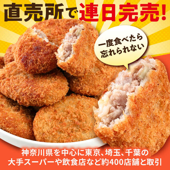 【ふるさと納税】【全6回定期便】メンチカツ 20個 1.8kg 惣菜 お弁当 パーティー 肉 おかず 横須賀 【三富屋商事株式会社】[AKFJ069]