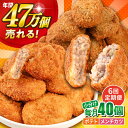 【ふるさと納税】【全6回定期便】コロッケ メンチカツ ポテトコロッケ20個 メンチカツ20個 計40個 3.0kg 惣菜 お弁当 パーティー 肉 おかず 横須賀...