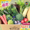 【ふるさと納税】【全12回定期便】よこすか野菜セット すかなボックス 野菜 お野菜 季節野菜 やさい 詰め合わせ 詰合せ セット お楽しみ 産地直送 旬 厳選 ...