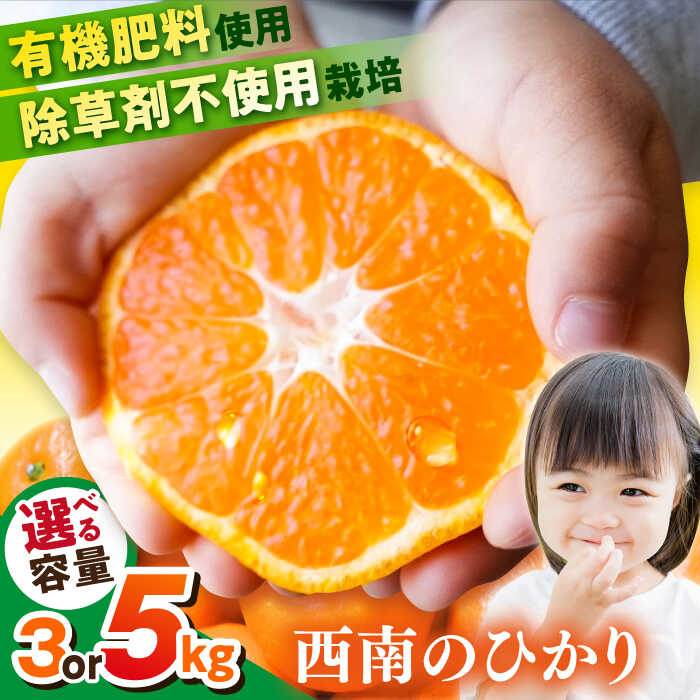 【ふるさと納税】【先行予約】【選べる容量！】 西南のひかり 約3kg / 約5kg みかん オレンジ ポンカン 品種 神奈川 蜜柑 ミカン 柑橘 ..