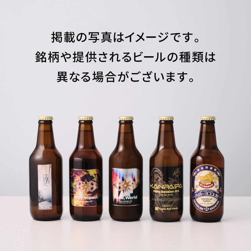 【ふるさと納税】クラフトビール おまかせ6本（3種×2本）セット SURPRISE 6【GRANDLINE BREWING】[AKGM004]