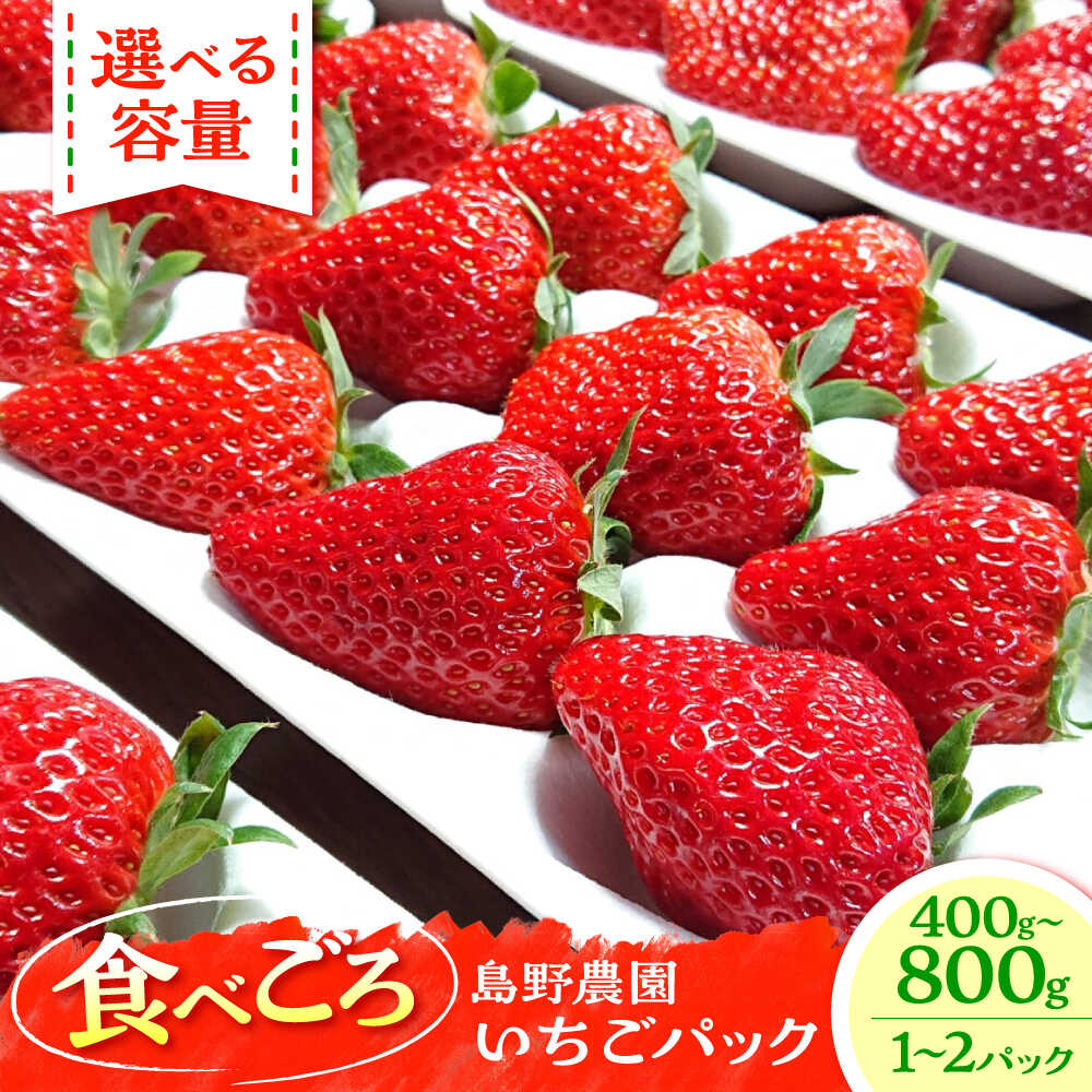 【ふるさと納税】【先行予約】【選べるパック数】【数量限定】島野農園のいちご 400g×1パック or 400g×2パック 紅ほっぺ ほしうらら スターナイト いちご イチゴ 苺 くだもの フルーツ 果物【島野農園】[AKHV001]