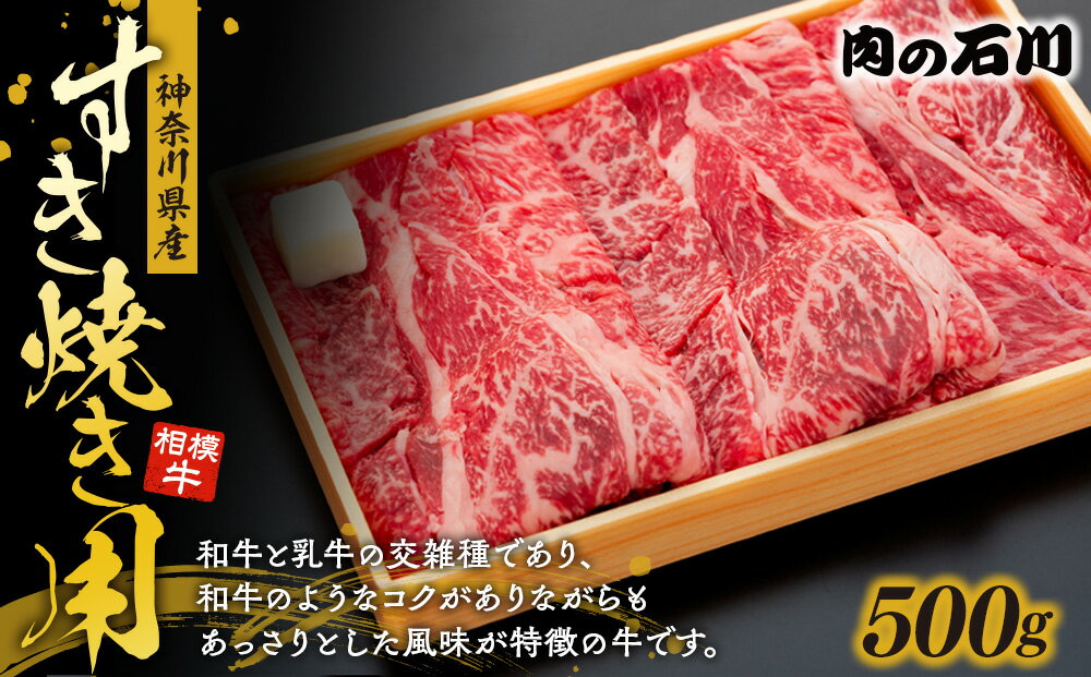 神奈川県平塚市の画像2