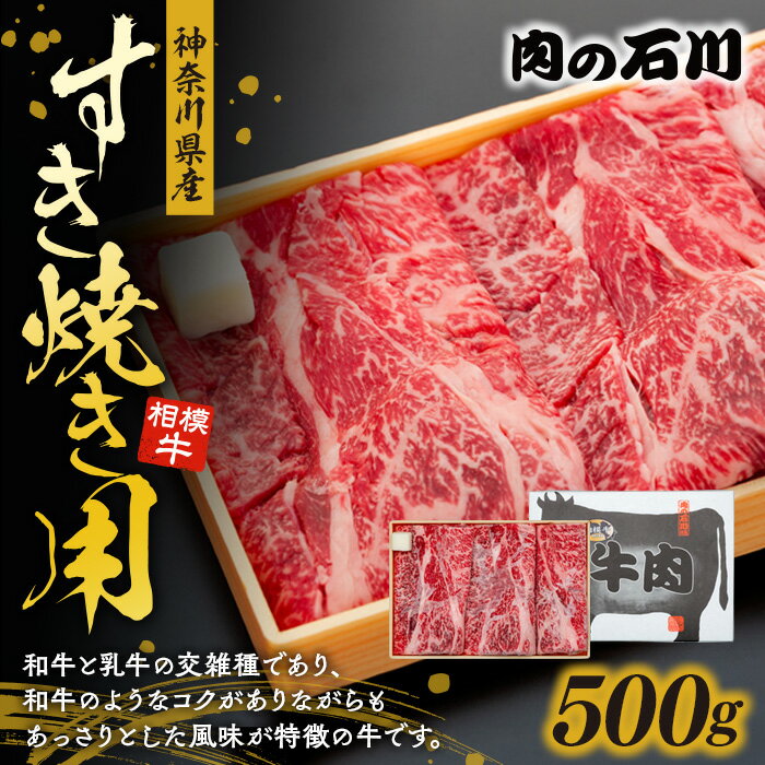 神奈川県産 相模牛すき焼き用 500g [牛肉・お肉]