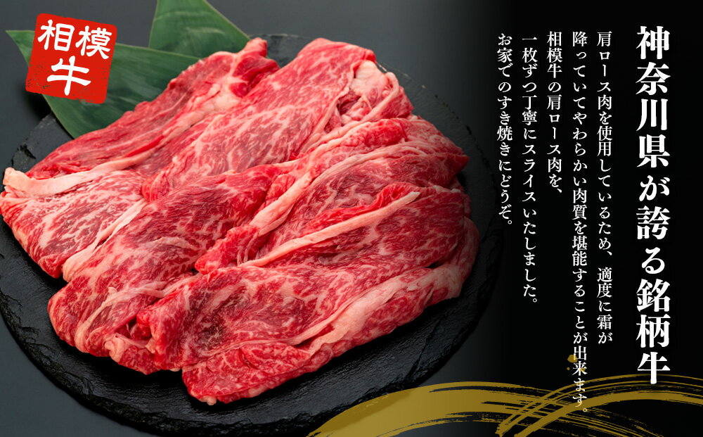 神奈川県平塚市の画像3