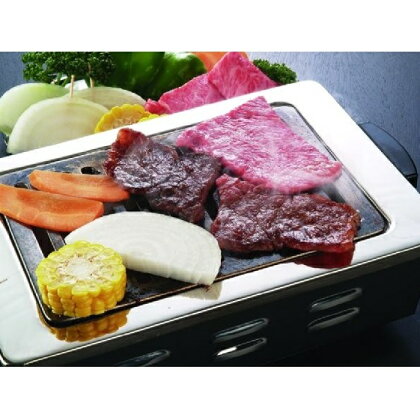 神奈川県産 相模牛 焼肉用　500g　【牛肉・お肉】