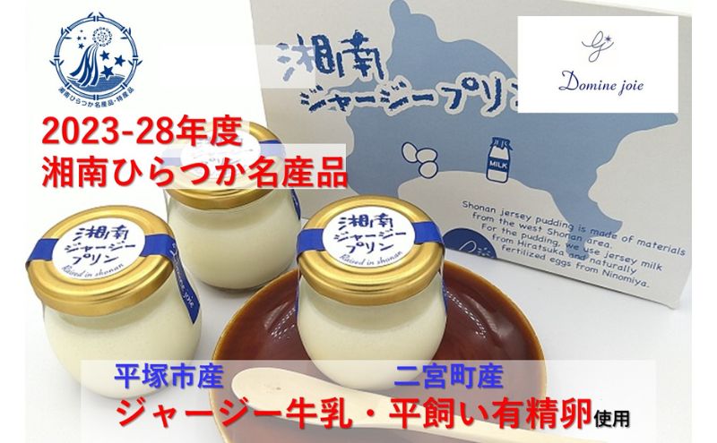 神奈川県平塚市の画像2