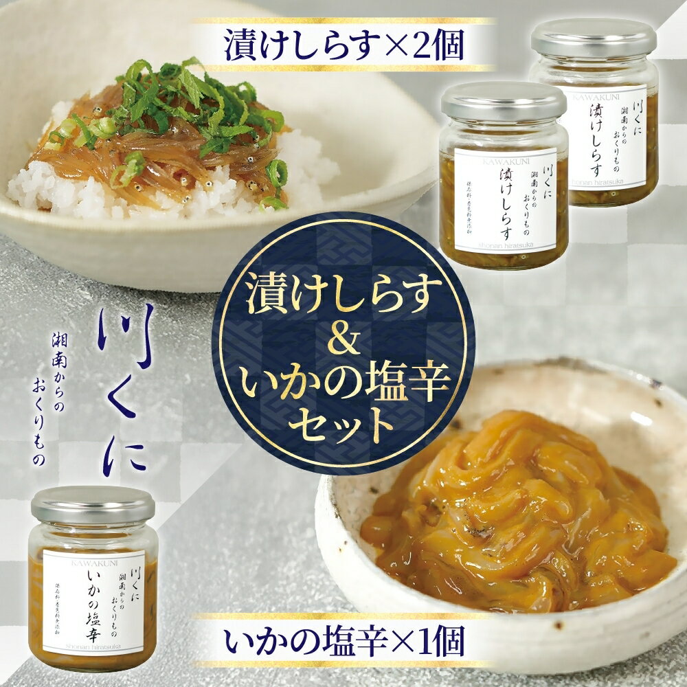 【ふるさと納税】漬けしらす と いかの塩辛 の 3本セット　【魚貝類・しらす・加工食品・漬けしらす・いかの塩辛】のサムネイル