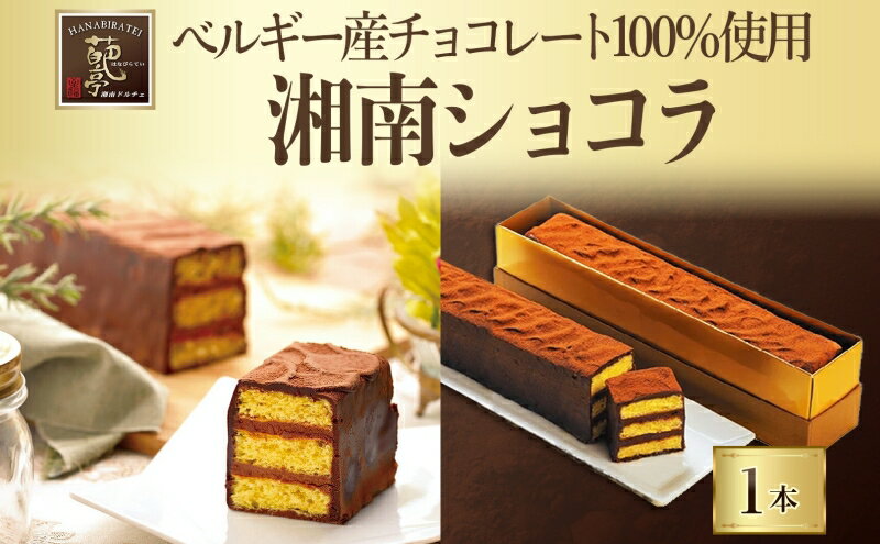 神奈川県平塚市の画像2