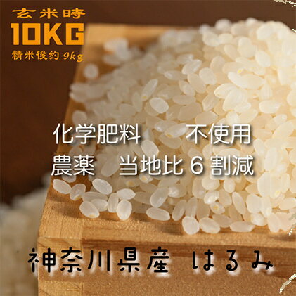 【ふるさと納税】神奈川県産はるみ10kg(玄米時)　 お米 　お届け：2021年10月14日～2022年1月14日のサムネイル