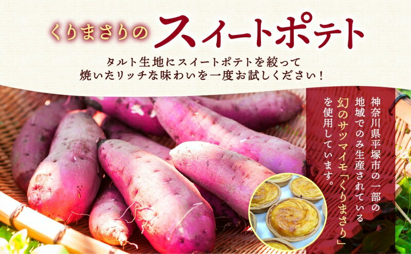 神奈川県平塚市の画像3