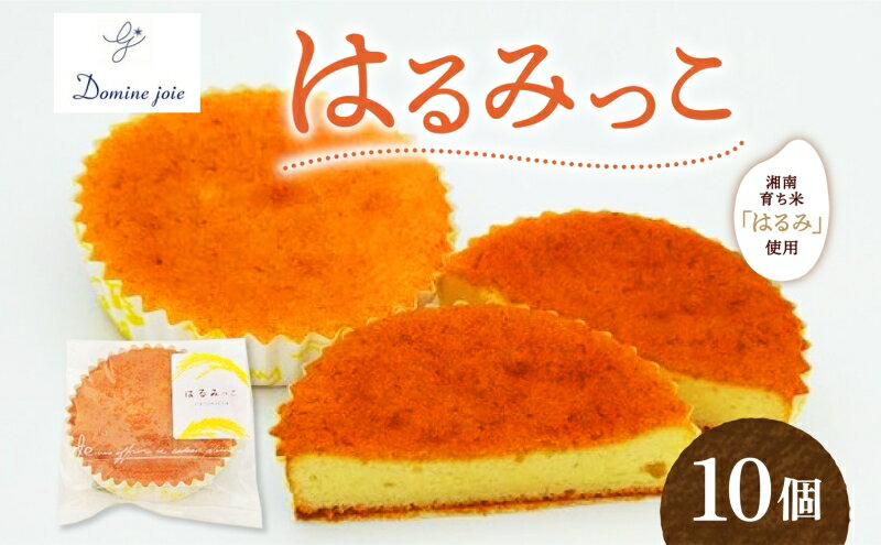 神奈川県平塚市の画像2