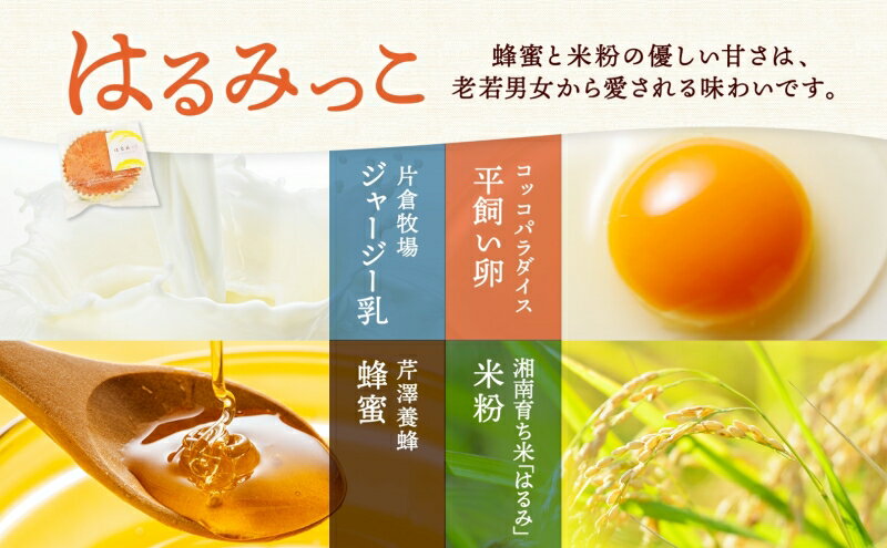 神奈川県平塚市の画像3