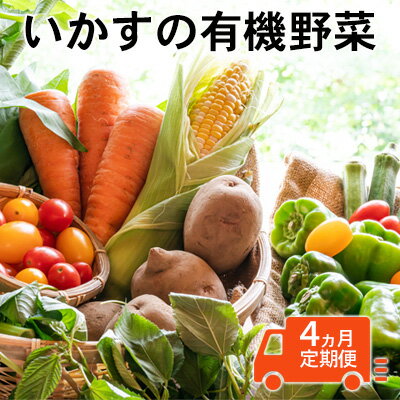 いかすの有機野菜（月1回10品お届け4回分）　【定期便・ 野菜 セット 詰合せ 有機野菜 10品 冷蔵 】