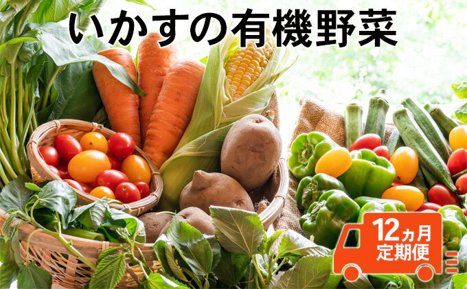 【ふるさと納税】いかすの有機野菜1年分（月1回10品お届け12回分）　【定期便・ 野菜 セット 詰合せ 有機野菜 10品 冷蔵 】