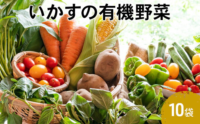 【ふるさと納税】いかすの有機野菜10袋　【 有機 野菜 詰め合わせ 詰め合わせセット セット 】