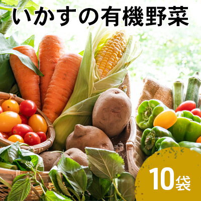 いかすの有機野菜10袋　【 有機 野菜 詰め合わせ 詰め合わせセット セット 】