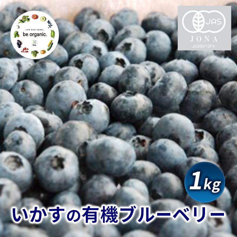 【ふるさと納税】いかすの 有機 ブルーベリー 1キロ　平塚市　お届け：2024年5月下旬～7月下旬のサムネイル