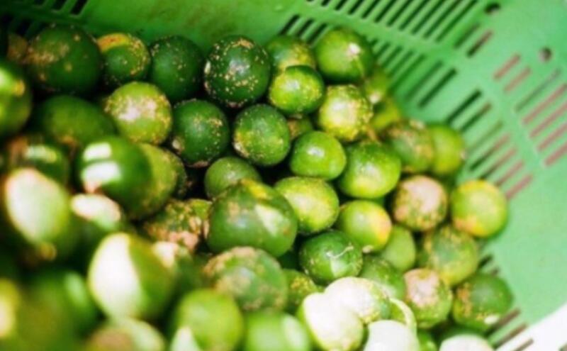 神奈川県平塚市の画像3