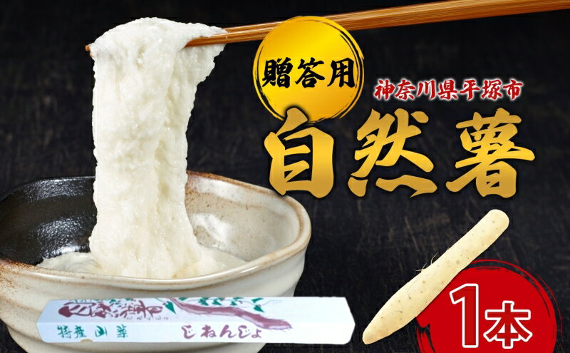 神奈川県平塚市の画像2