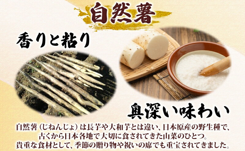 神奈川県平塚市の画像3