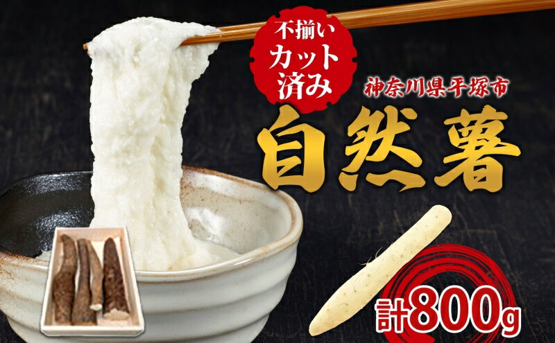 神奈川県平塚市の画像2