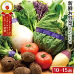 【ふるさと納税】「鎌倉いちばブランド」新鮮お野菜詰め合わせセット | ふるさと 納税 楽天ふるさと 神奈川県 神奈川 鎌倉市 鎌倉 支援 支援品 返礼品 お取り寄せグルメ ご当地グルメ グルメ 野菜 やさい 詰め合わせ 野菜セット 旬の味覚 旬野菜 旬 美味しい おいしい 食品