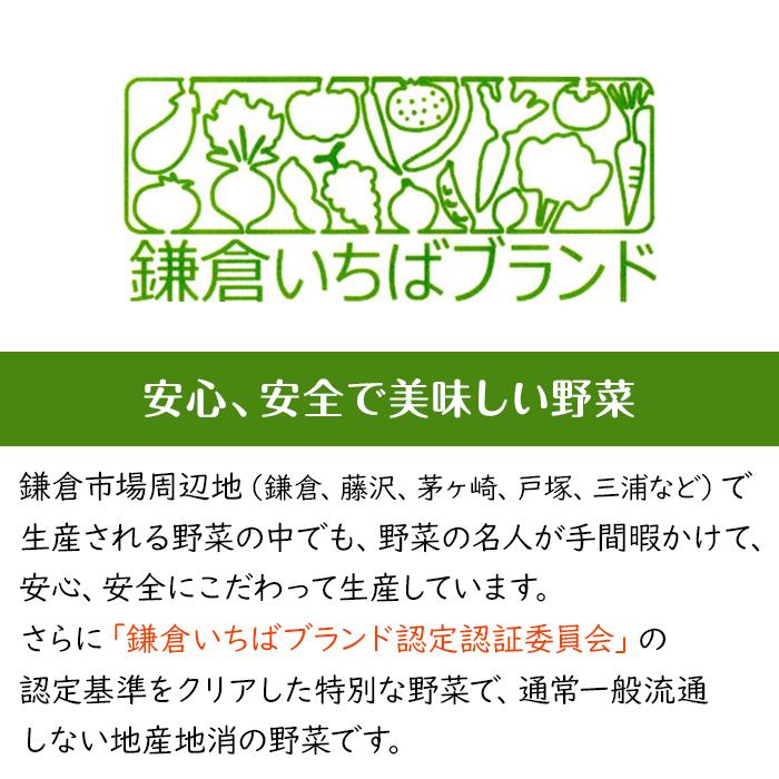 【ふるさと納税】【3ヶ月毎計4回 定期便】四季を味わえる「鎌倉いちばブランド」新鮮お野菜詰め合わせセット | ふるさと 納税 楽天ふるさと 神奈川県 神奈川 鎌倉市 鎌倉 支援品 支援 返礼品 お取り寄せグルメ お取り寄せ ご当地グルメ ご当地 グルメ 野菜 やさい 野菜セット