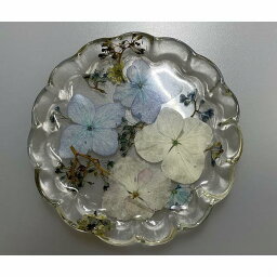 【ふるさと納税】紫陽花の小皿2枚セット