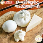 【ふるさと納税】チーズ 4種 計400g 詰め合わせ BeBe鎌倉 | 鎌倉 セット 詰合せ モッツァレラ ブッラータ マスカルポーネ ゴーダカマクラ ワイン お酒 酒 さけ sake おつまみ あて パーティ ピザ トースト お取り寄せ グルメ 人気 おすすめ 神奈川