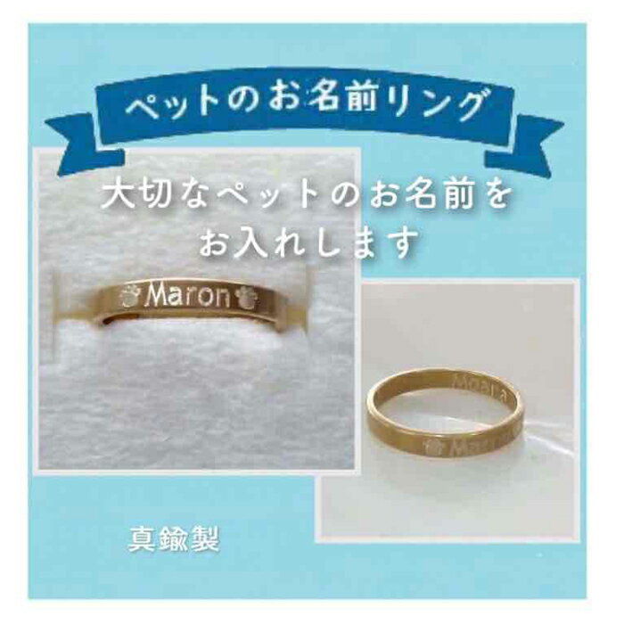 1位! 口コミ数「0件」評価「0」ペットのお名前リング | ふるさと 納税 楽天ふるさと 神奈川県 神奈川 鎌倉市 鎌倉 支援品 返礼品 返礼 リング 指輪 アクセサリー ア･･･ 