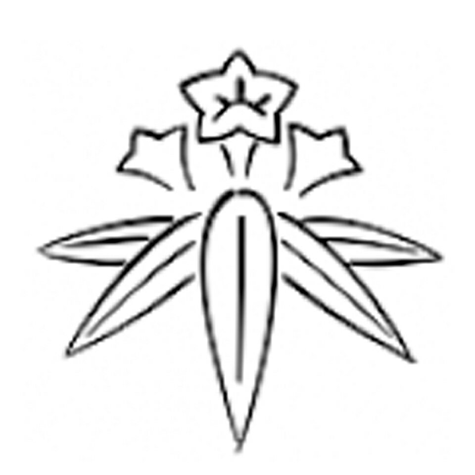 神奈川県鎌倉市