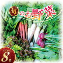 【ふるさと納税】訳あり 旬 の 野菜セット 8品 種類おまかせ 旬 野菜 やさい yasai ヤサイ 野菜セット やさいセット 旬の野菜 お野菜 春野菜 夏野菜 秋野菜 冬野菜 不揃い おまかせ 訳アリ 訳あり品 わけあり 訳有 ワケアリ 数量限定 農家直送 産地直送 神奈川 湘南 藤沢