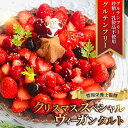 【ふるさと納税】 クリスマス スぺシャル タルト ケーキ ヴィーガン 生 チョコレート ロースイーツ 生 カカオ 生チョコ チョコ ちょこ グルテンフリー いちご 冷凍 ホール 管理栄養士 デザート スイーツ 白砂糖不使用 乳製品不使用 菓子工房 Pace ぱぁちぇ 神奈川 湘南 藤沢