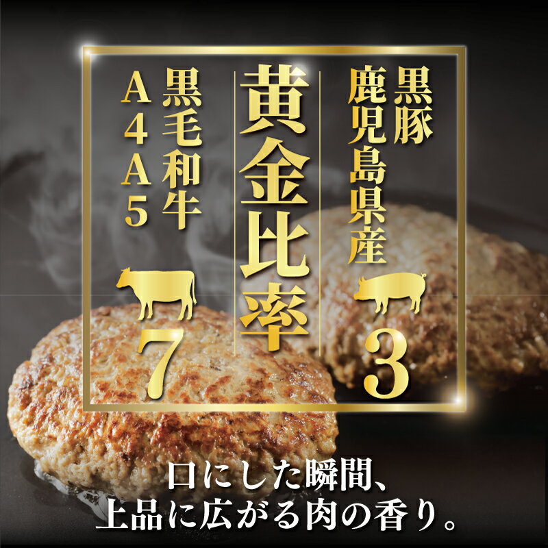 【ふるさと納税】 ハンバーグ 10個 計1.2kg 肉 にく セット 国産 黒毛和牛 黒豚 A4 A5ランク 使用 手作り はんばーぐ 惣菜 冷凍 和牛 豚肉 牛肉 ぶたにく ぎゅうにく ブランド牛 ブランド豚 niku おかず 小分け 便利 簡単調理 人気 夕食 肉汁 タカギフーズ 神奈川 湘南 藤沢