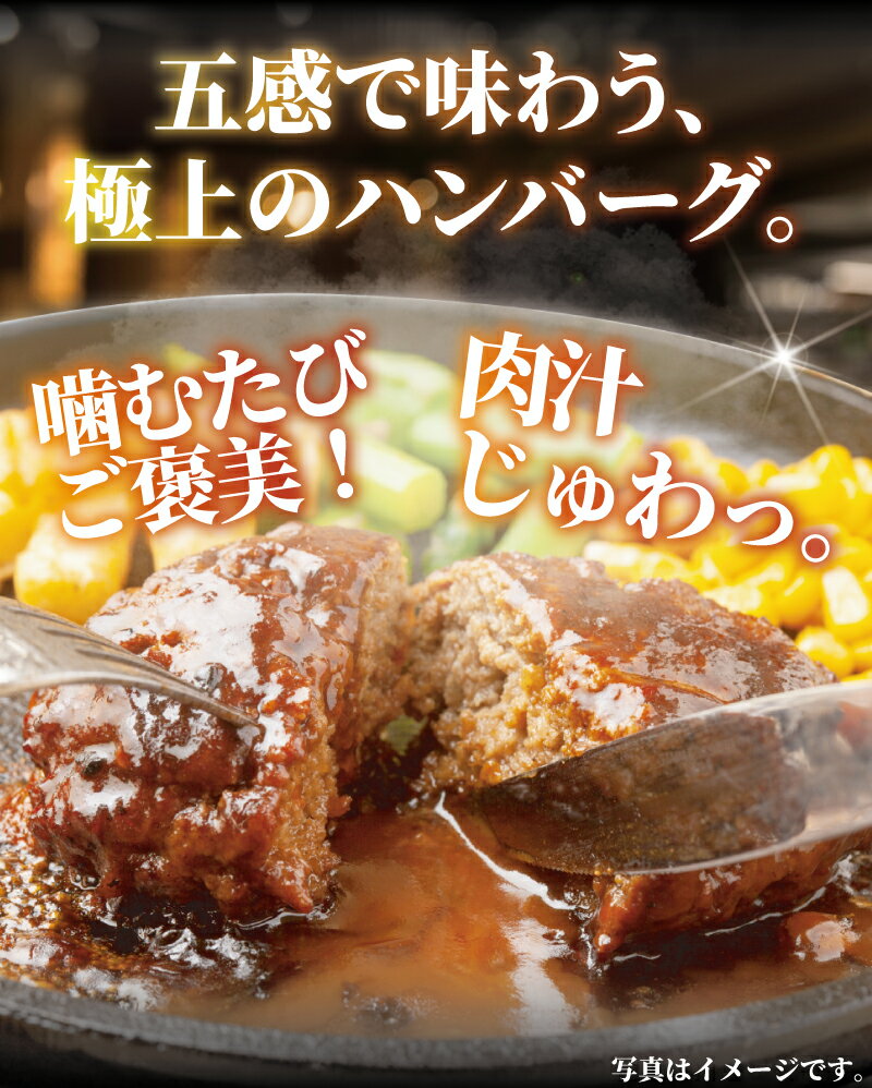 【ふるさと納税】 ハンバーグ 10個 計1.2kg 肉 にく セット 国産 黒毛和牛 黒豚 A4 A5ランク 使用 手作り はんばーぐ 惣菜 冷凍 和牛 豚肉 牛肉 ぶたにく ぎゅうにく ブランド牛 ブランド豚 niku おかず 小分け 便利 簡単調理 人気 夕食 肉汁 タカギフーズ 神奈川 湘南 藤沢