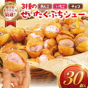【ふるさと納税】しゅーくりーむ 30個 冷凍 3種 × 10個 シュークリーム プチシュー ミニ シュー しゅー 木苺 いちご 餡 あんこ 生クリーム スイーツ おやつ おかし お菓子 洋菓子 焼菓子 詰め合わせ プレゼント ギフト 手土産 喜ぶ コムアンプロヴァンス 神奈川 湘南 藤沢