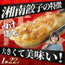 神奈川県藤沢市の画像2