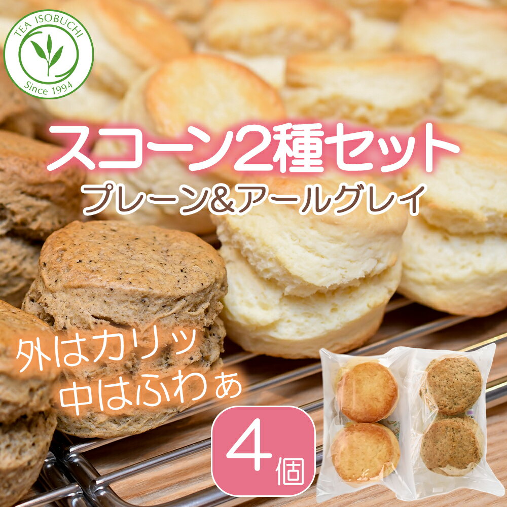 【ふるさと納税】 スコーン 12個 セット 2種 ( プレーン 6個 アールグレイ 6個 ) 焼き菓子 お菓子 焼菓子 おやつ 洋菓子 デザート スイーツ 人気 発酵 バター コク 風味 すこーん ミルクティー 手土産 手作り 紅茶 茶 専門店 ティー イソブチカンパニー 神奈川 湘南 藤沢