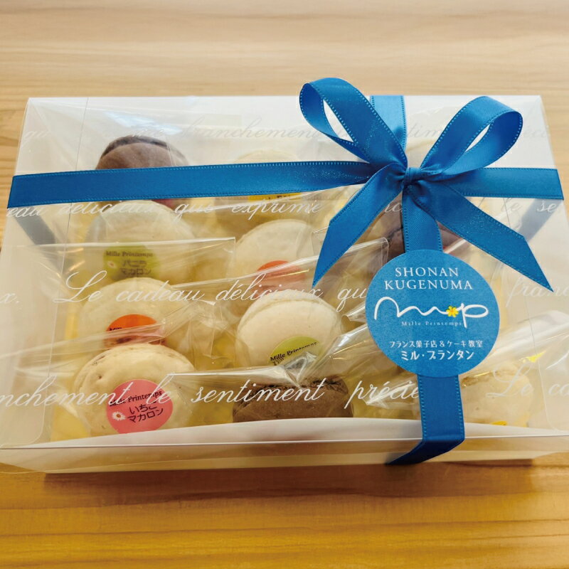 【ふるさと納税】 マカロン まかろん 12 個 いちご バニラ レモン 塩キャラメル ヘーゼルナッツ チョコレート 菓子 お菓子 焼き菓子 洋菓子 スイーツ デ...