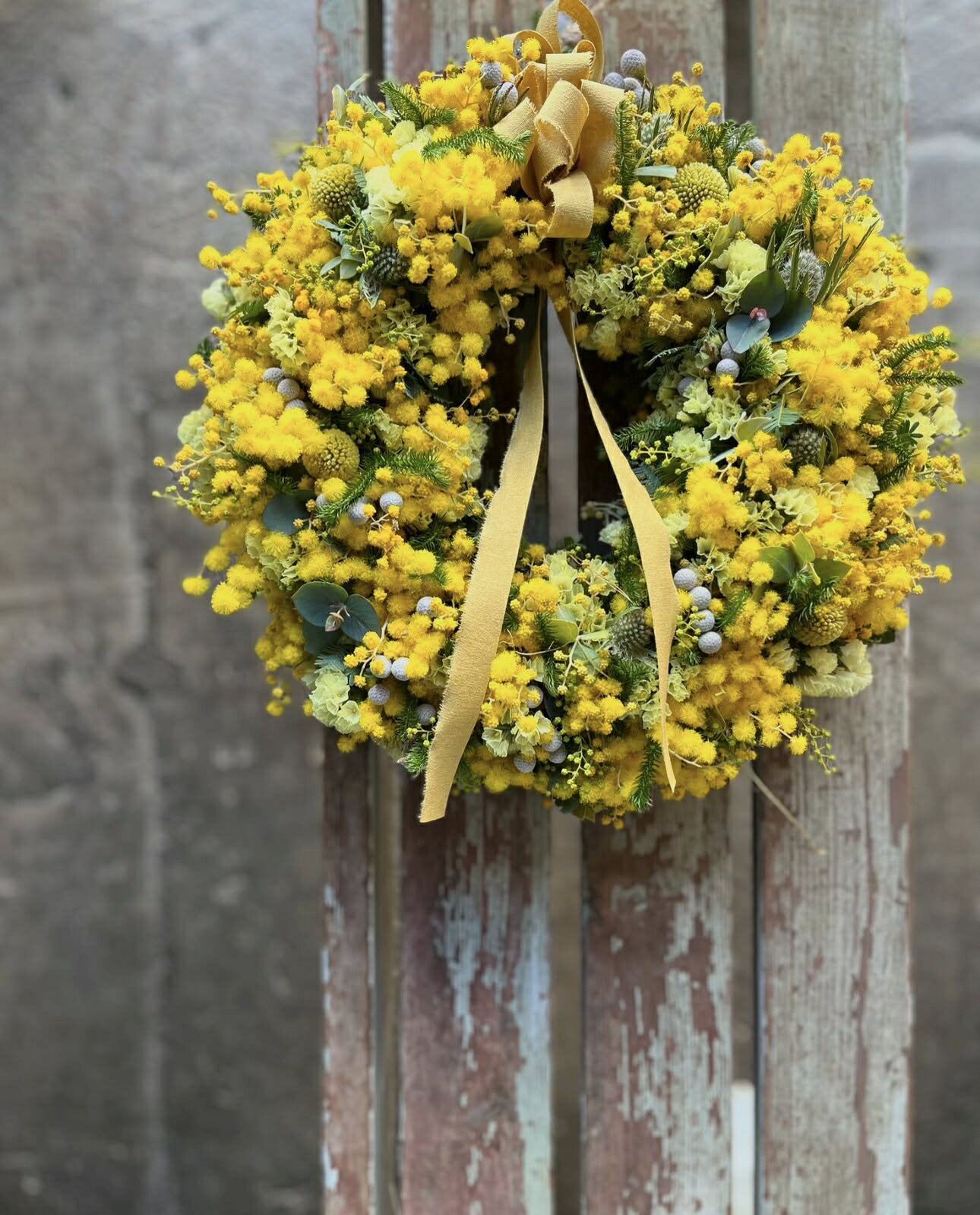 ミモザリース ミモザ リース 先行予約 花 期間限定 フレッシュリース インテリア プレゼント お花 はな おはな ギフト フレッシュ 贈り物 贈答 かわいい おしゃれ フラワー 壁飾り フラワー アレンジ hana 人気 ヘリアントスガーデン 神奈川 湘南 藤沢