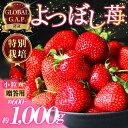 【ふるさと納税】 いちご 特別栽培 よつぼし 約600~1000g 先行受付 2026年1月~4月発送 GLOBALG.A.P. 認証 ブランドいちご 苺 イチ...