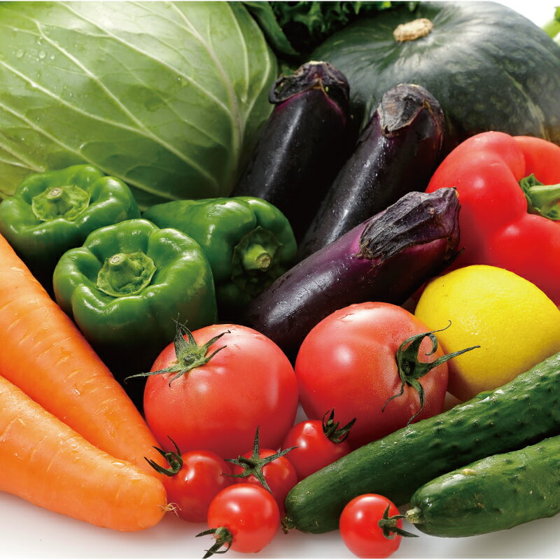 朝採れ 新鮮 野菜 セット 約 5kg 種類おまかせ 旬 やさい yasai ヤサイ 野菜セット やさいセット 旬の野菜 春野菜 夏野菜 秋野菜 冬野菜 おまかせ 数量限定 農家直送 産地直送 トマト さつまいも サツマイモ とうもろこし 神奈川 湘南 藤沢 フロムベジ湘南