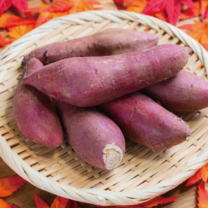 訳あり さつまいも 紅はるか 10kg 訳アリ 訳有 サツマイモ 薩摩芋 さつま芋 デザート べにはるか スイーツ 甘芋 スイートポテト 芋 イモ 旬 秋野菜 秋の味覚 おやつ 食物繊維 数量限定 農家直送 産地直送 神奈川 湘南 藤沢 フロムベジ湘南
